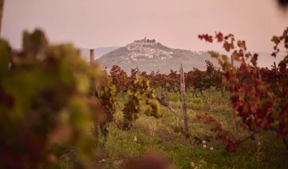 motovun