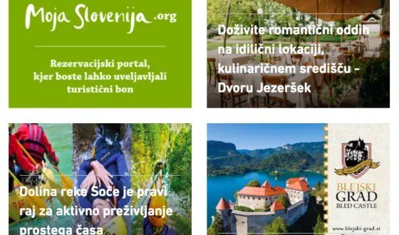 moja slovenija stran