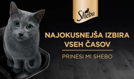 ShEBA