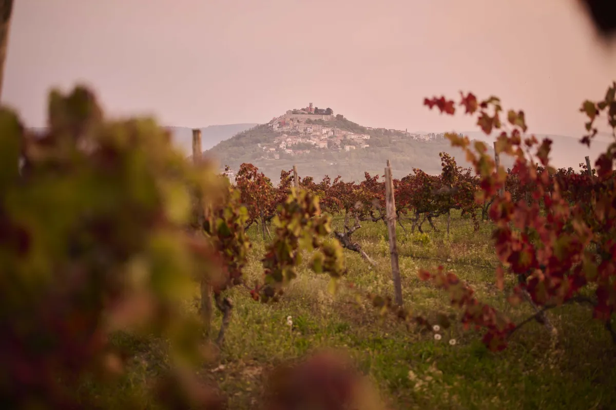 motovun