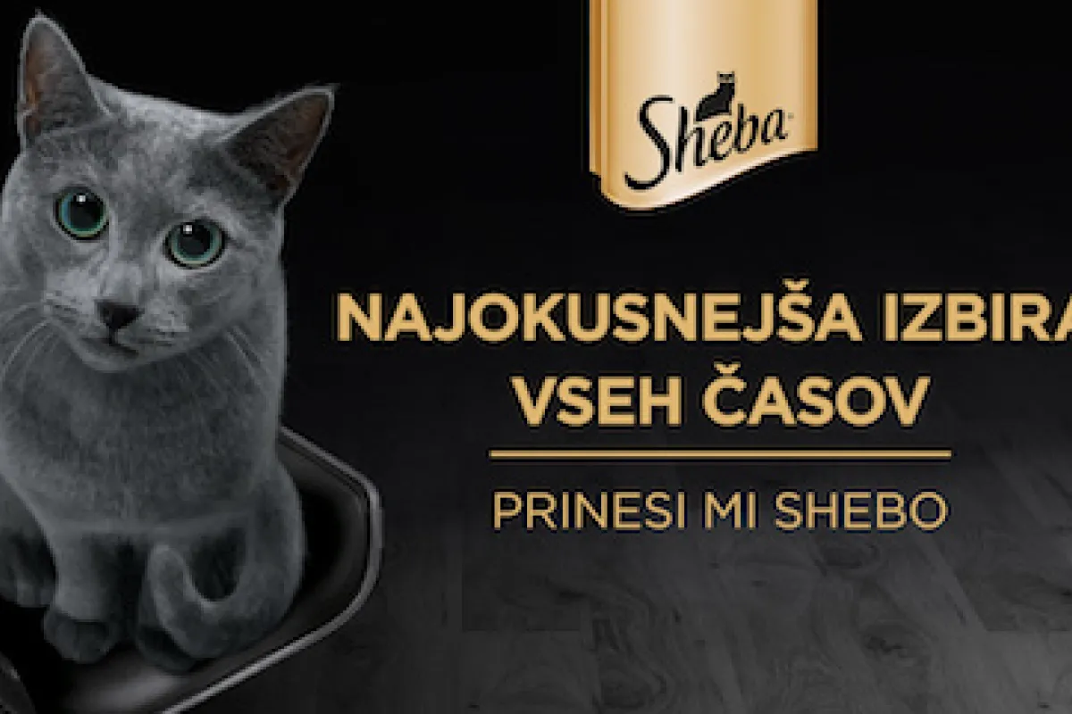 ShEBA